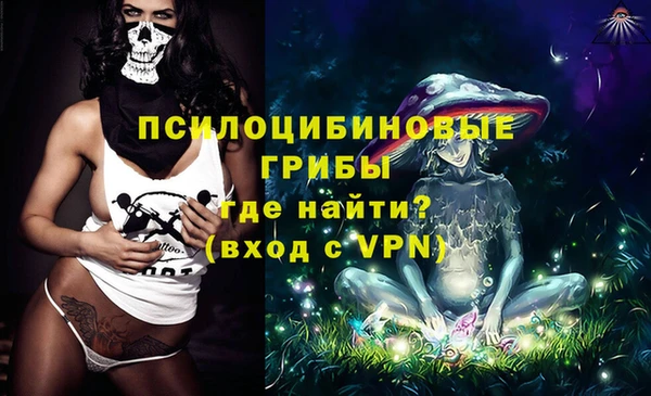 ALPHA-PVP Каменка
