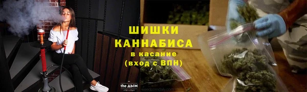 ешки Каменногорск